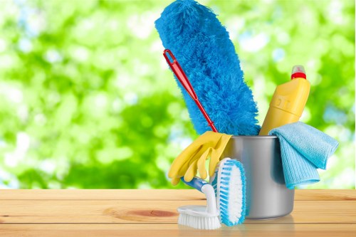 Professional carpet cleaning in Paddington with focus on quality results