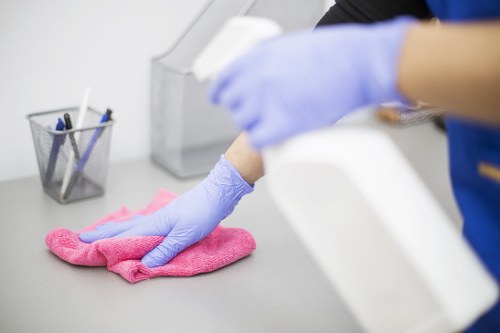 Professional mattress cleaning service for Paddington homes and apartments
