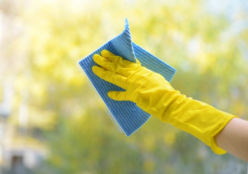 Deep cleaning service for Paddington homes and apartments