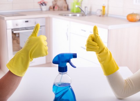 Trained carpet cleaning staff applying safe procedures and PPE