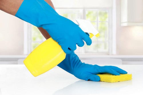 Local technician treating a fabric stain in a Paddington property