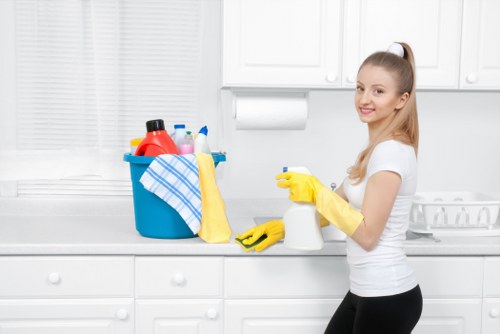 Deep cleaning of a leather sofa in Paddington