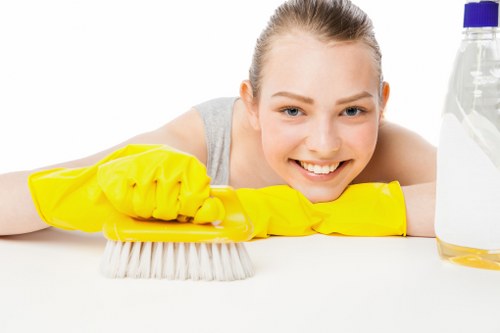 Bathroom tenancy cleaning in a local Paddington property