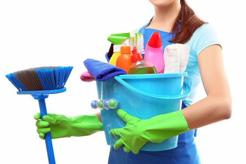 Professional pet stain odour removal treatment in a Paddington living room