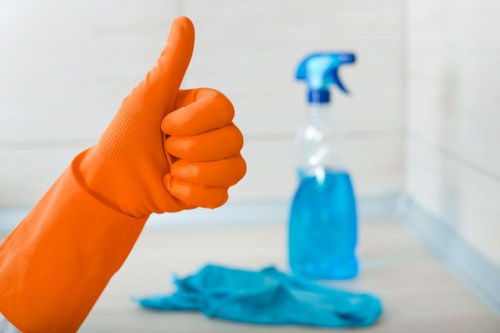 Removing dirt and stains from rugs in Paddington properties