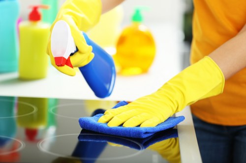 Restorative cleaning for stone or vinyl floors in Paddington