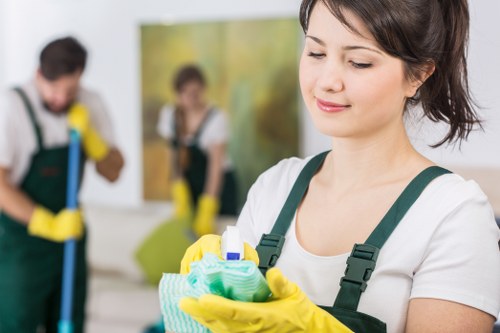 Local cleaning service for a Paddington flat with period property details