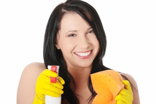 Safe and professional carpet cleaners in Paddington protecting property and people